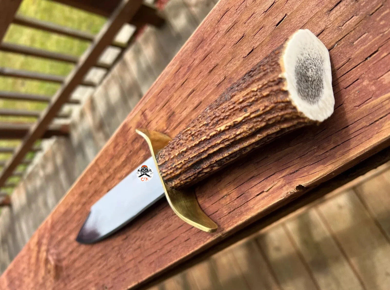 Frontier Edge - Antler Horn D2 Steel Hunting Knife