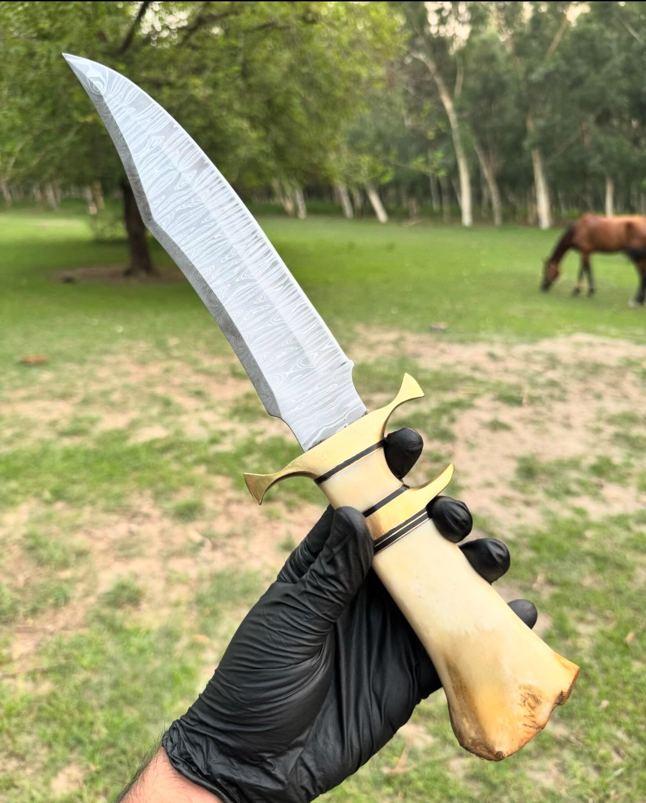 Damascus Steel Camping Knife with Brass Guard and Camel Bone Handle"