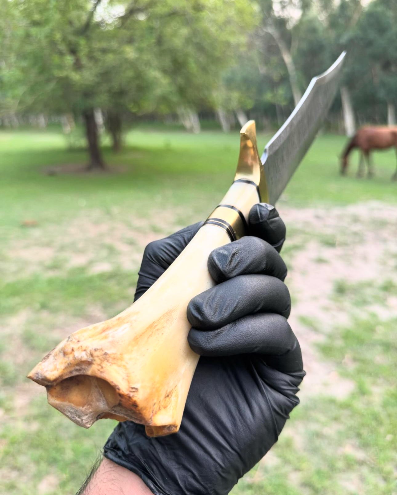 Damascus Steel Camping Knife with Brass Guard and Camel Bone Handle"