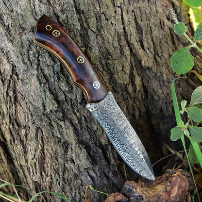 Wilderness Warrior' Custom Handmade Damascus Steel Hunting Knife with Rosewood Handle